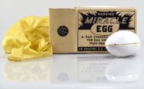 Robbins' Miracle Egg