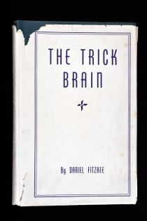 The Trick Brain