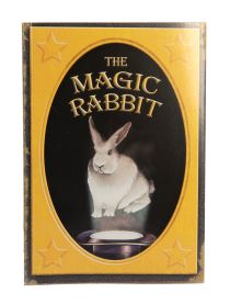 The Magic Rabbit, Transforming Storybook