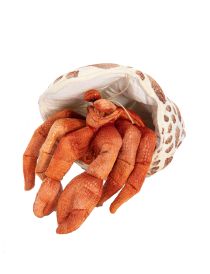 Hermit Crab Hand Puppet