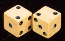 Magnetized Dice