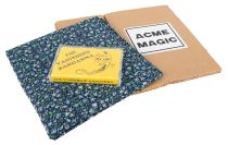 The Vanishing Bandanna