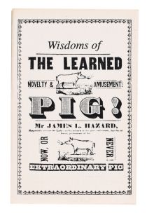 Wisdom of Learned Pig!