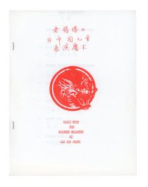 Magic Show for Chinese Children