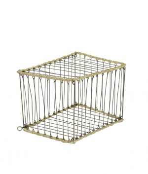 Vanishing Bird Cage