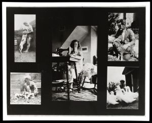 Blackstone Photograph Collage