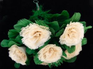 Abbott's Fresh Carnation Bouquet