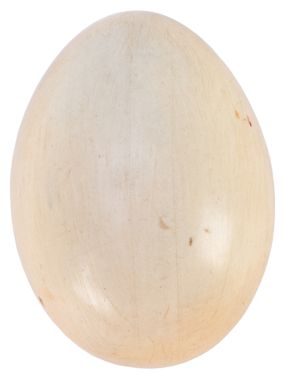 Silk to Egg