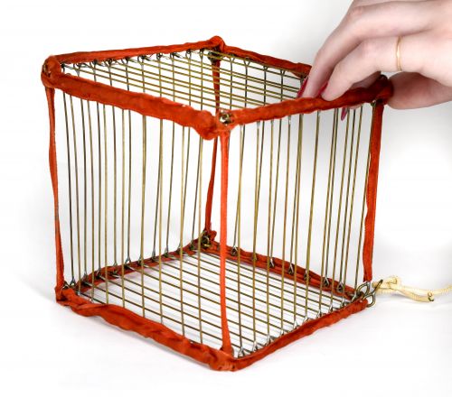 Vanishing Bird Cage 